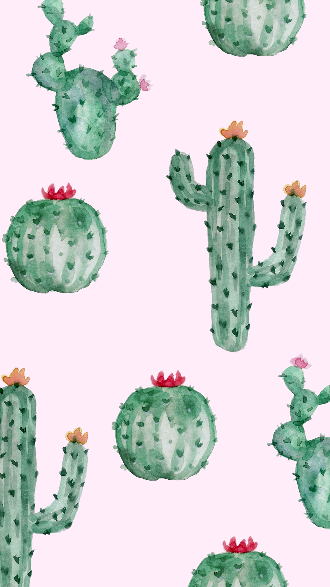 leuke telefoon achtergronden cactus